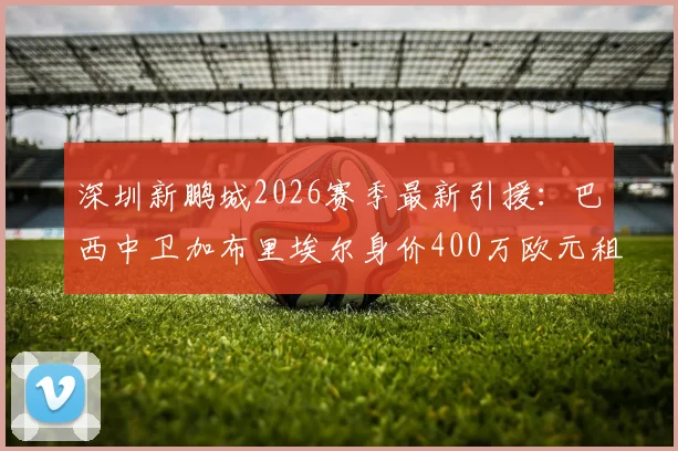 深圳新鹏城2026赛季最新引援:巴西中卫加布里埃尔身价400万欧元租借加盟,附外援名单与技术特点解析