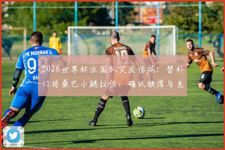 2026世界杯法国队突发伤病:替补门将桑巴小腿拉伤,确认缺席与克罗地亚季军争夺战,谁来守护高卢雄鸡最后防线?